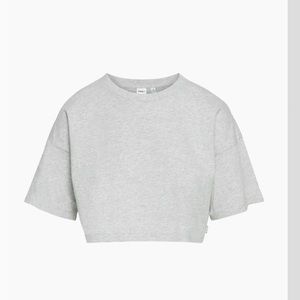 Aritzia cropped tee
